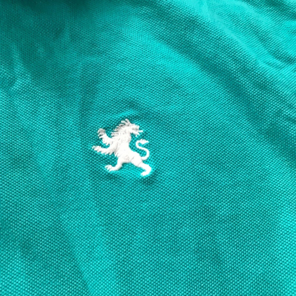Express Polo - Picture 2 of 4